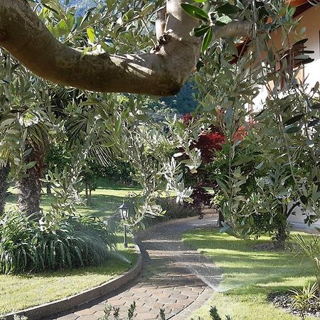 Toerggelehof Daire Lagundo Dış mekan fotoğraf