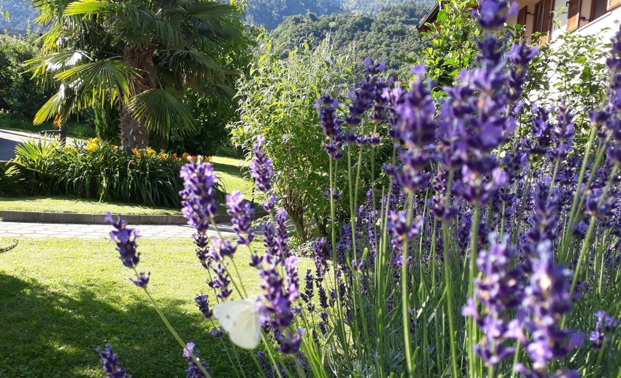 Toerggelehof Daire Lagundo Dış mekan fotoğraf